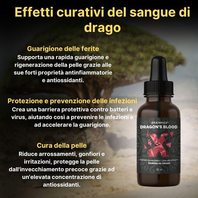 (Italština) Léčivé účinky dračí krve